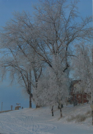 Zima resize