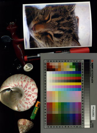 scan color resize