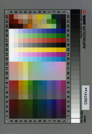 shkala resize