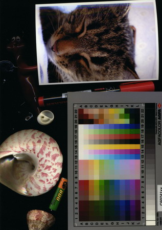 Color resize