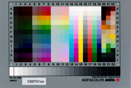 scan2 resize