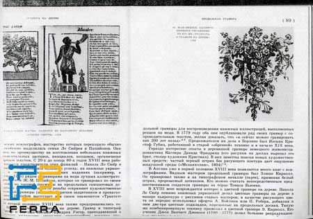 Resize-of-Scan3