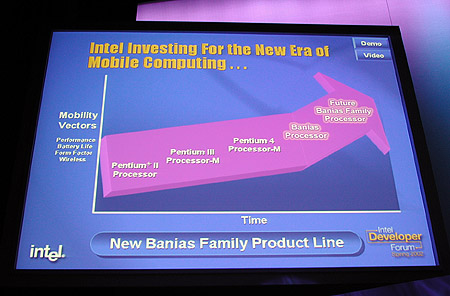 EMEA IDF 2002
