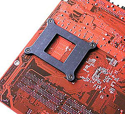 back_250.jpg