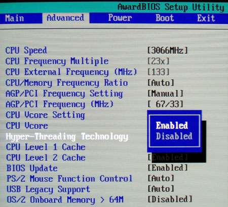 P4T533_biosHT.jpg