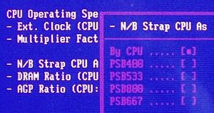 BIOS_FSBfreq