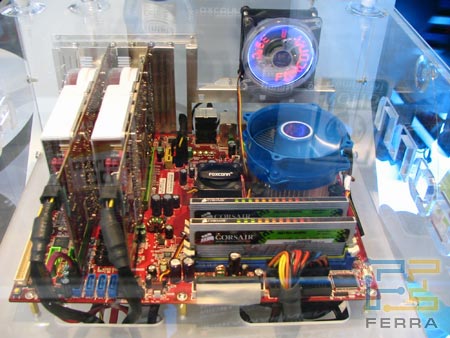 IMG 4937