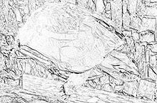 image006.jpg