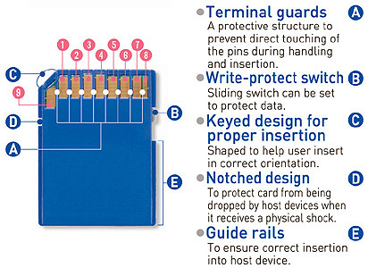 sd architecture