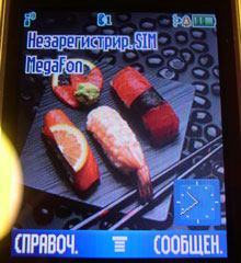 Motorola RAZR V3 - ����