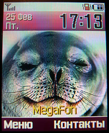 Samsung SGH-D500 - ����