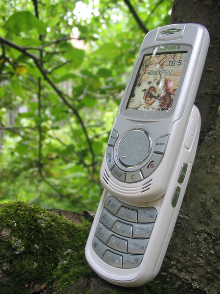 Samsung X810