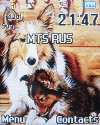 �������� ����� Samsung X810