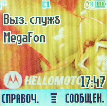 Главный экран Motorola C 390