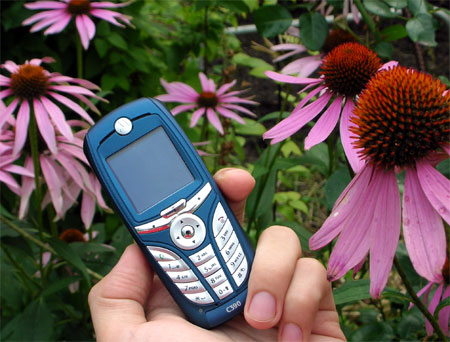 Motorola C 390