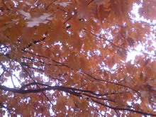 Photo-0009 resize