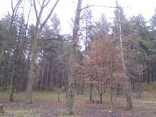 Photo-0053 resize