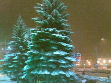 Image005 resize