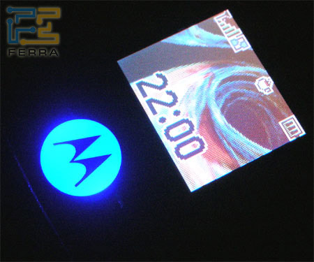 29