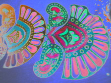 DSC00017 resize