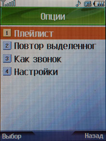 DSCN3941