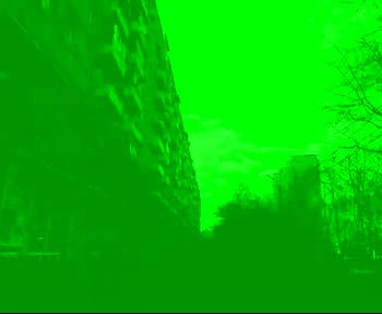 MOV00005