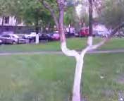 Video 0003