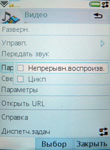 P1100316
