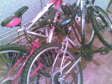 01022006(005) resize