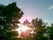 31012006 resize