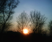 img015 resize
