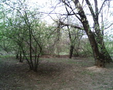 img052 resize