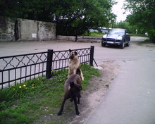 IMAGE 003 resize
