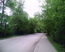 IMAGE 006 resize