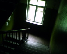 IMAGE 010 resize