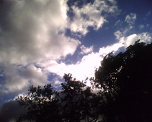 IMAGE 022 resize