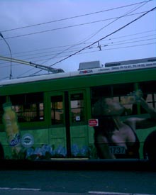 6131 Photo006-s