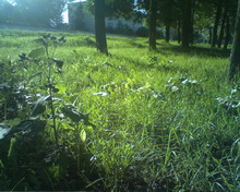 PIC-0005 resize