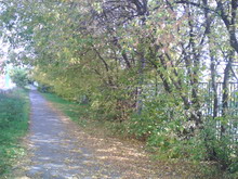 PH20000127235039 resize