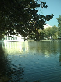 28-09-06 1238 resize