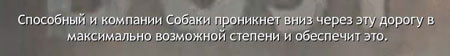 19 sm