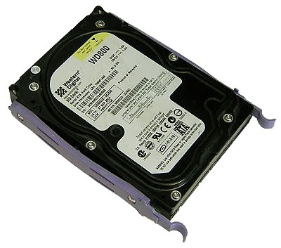 DSCN4506