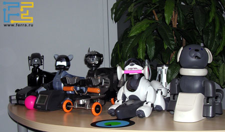 all_aibo.jpg