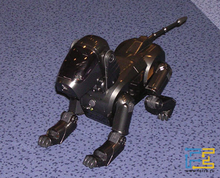 aibo1.jpg