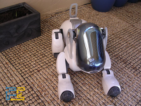 ers-7_2.jpg