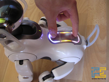 aibo_setup.jpg