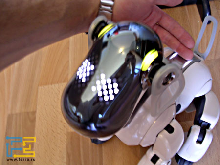 aibo_satisfied.jpg
