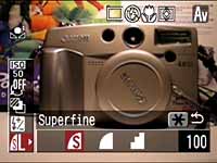 G3q.jpg