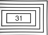 dis31