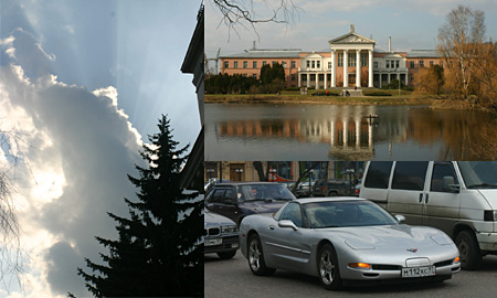 collage.jpg